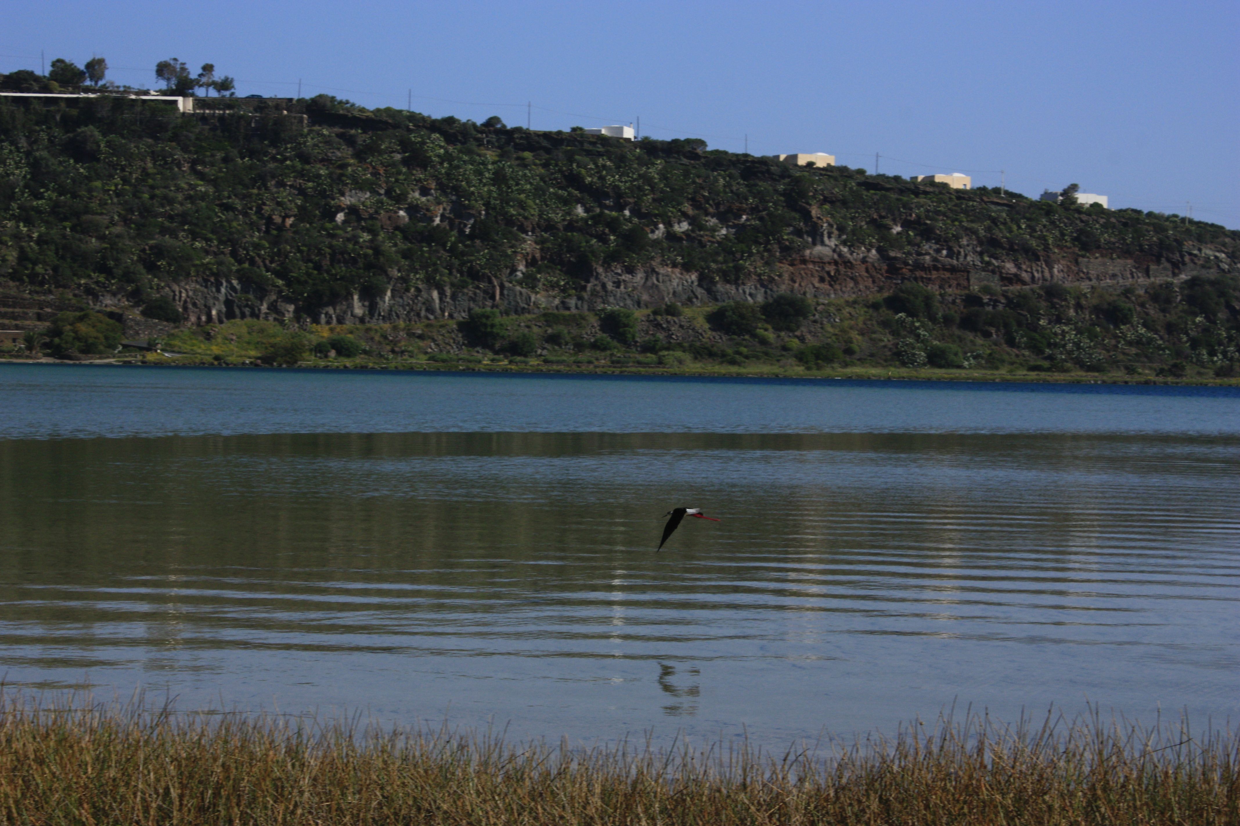 Pantelleria: il lago  meta di uccelli migratori