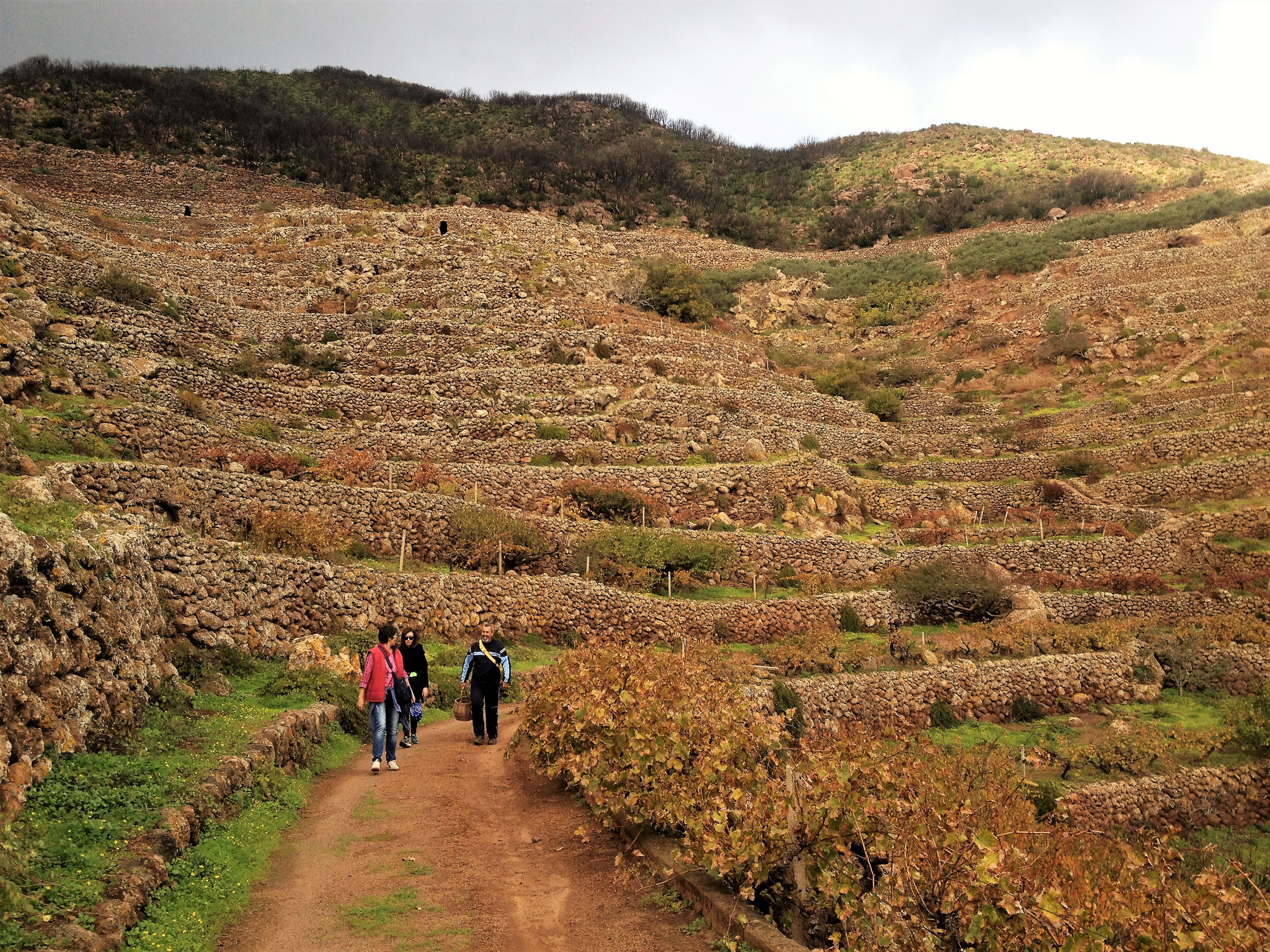 Pantelleria: escursione