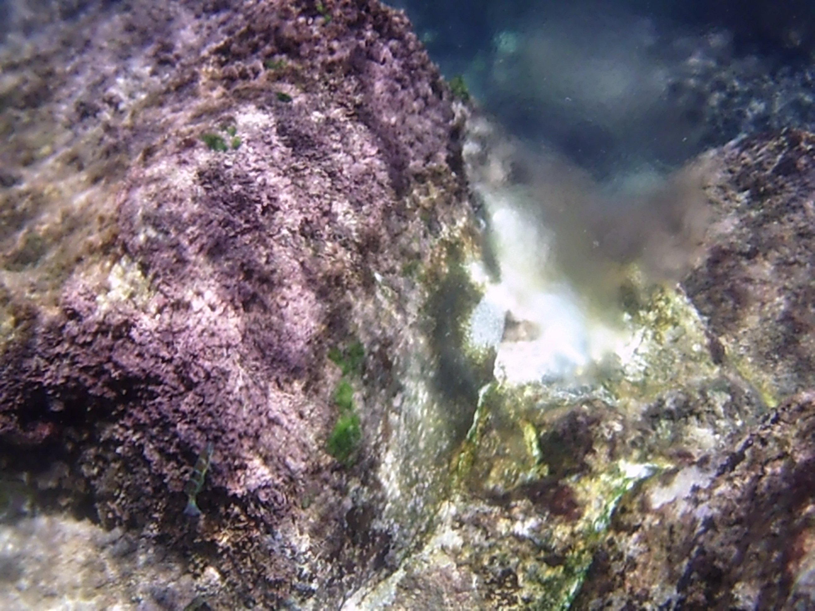 il mare di Pantelleria nel giro in barca che potete fare se venite in vacanza nei nostri dammusi